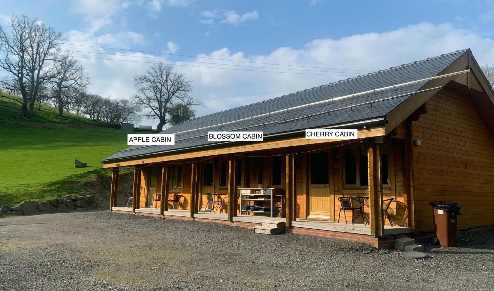 Cherry Cabin - Little Log Cabin In Wales Bettws Cedewain Exterior foto